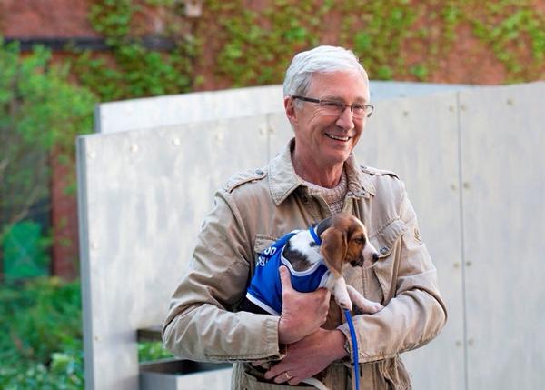 Battersea_'s tweet photo. #pogdogs is back at at 8:30pm on ITV. Text POG to 88008 for a handy reminder before the show so you don't miss out! http://t.co/3X2a3CbKeE