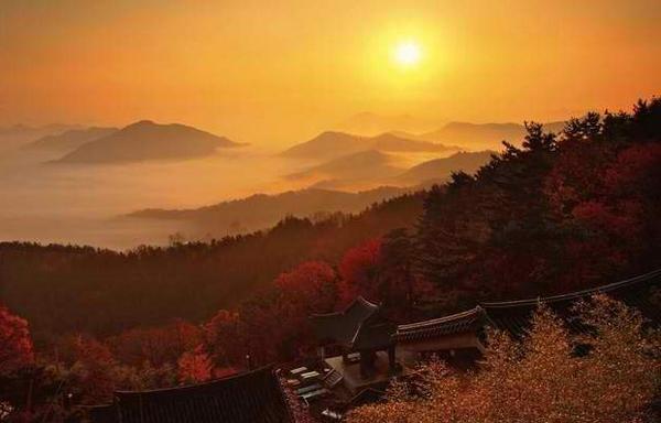 taru_suki tweet picture