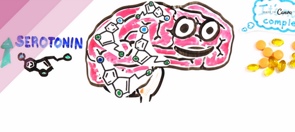 HowILoveToSweat's tweet image. The Science of Depression in a neatly crafted video youtu.be/GOK1tKFFIQI #endofsummer