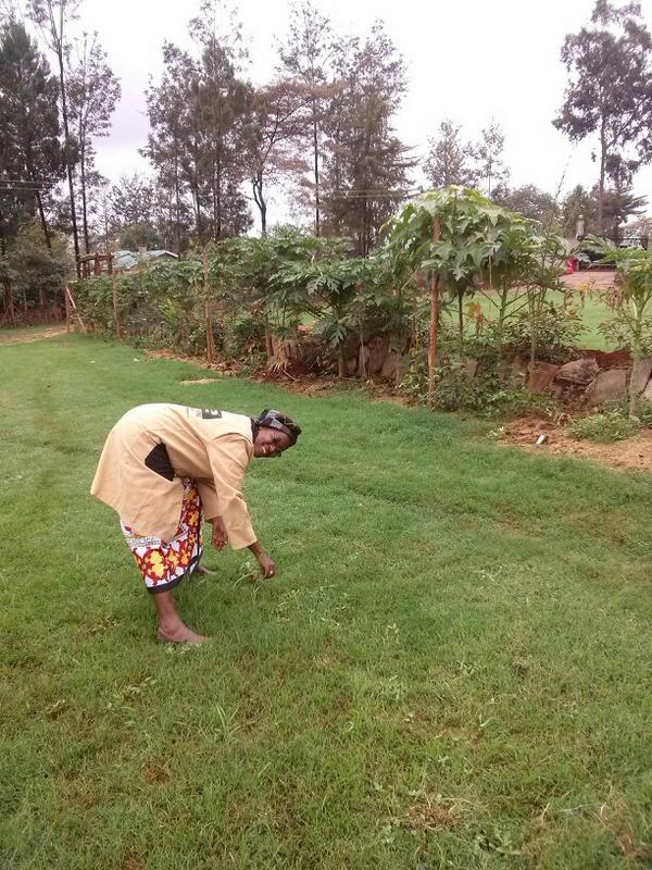 canan_r_centre's tweet photo. Our MD Margaret, hard at work sprucing up the grounds for the next big thing #HandsOn #OneGoodReason for success! http://t.co/8g6fMC0xyI