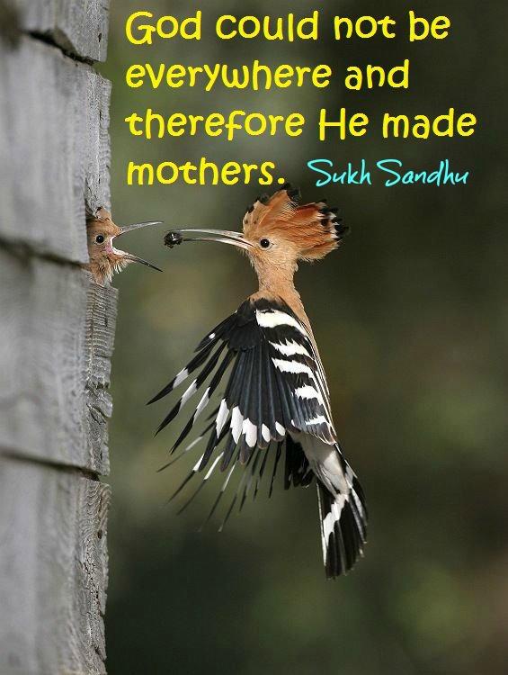 SukhSandhu's tweet photo. God could not be everywhere and therefore he made mothers. #Quote http://t.co/eQB5mKbsZ2