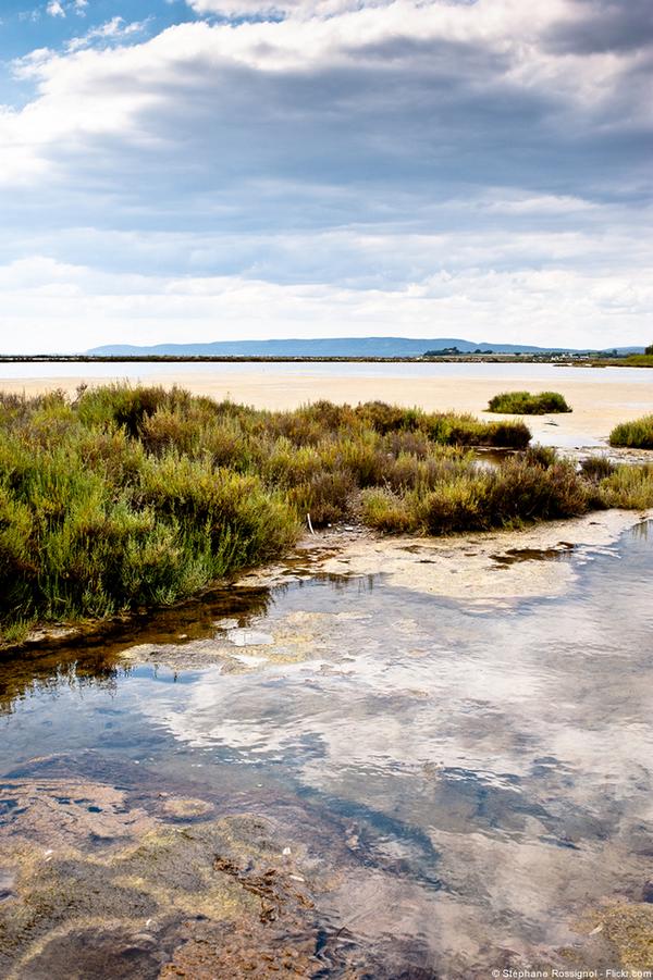 ExploreFranceEN's tweet photo. RT to #win 2 tickets to the movie “Going Away” at @ifru_london,shot in the beautiful region of Languedoc-Roussillon! http://t.co/L7X26x0A3t
