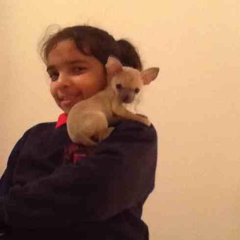 RIP #SapphieDog LuvU tweet media