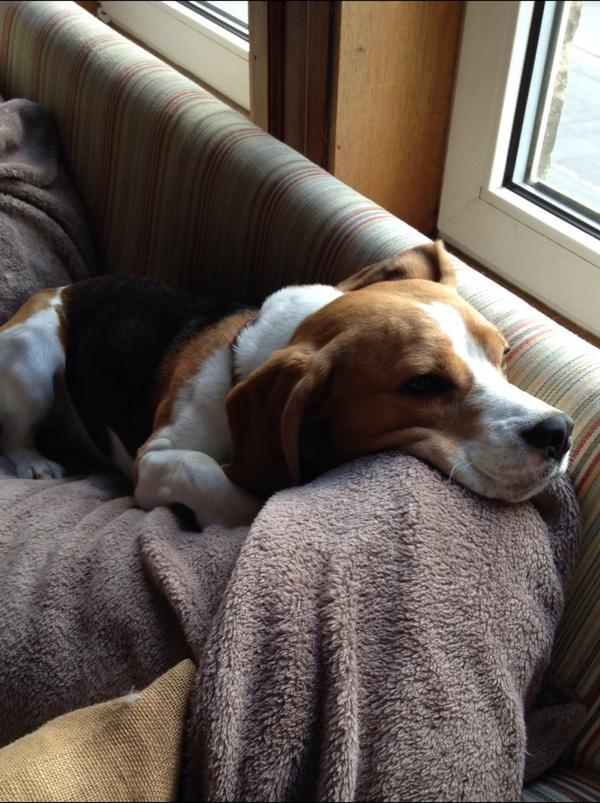 Chillax, it's nearly Friday!