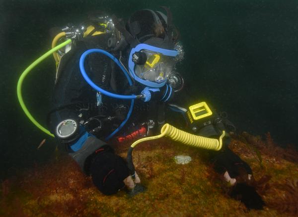 SHIPSProject's tweet photo. Another dive on the #SHIPSA7Project sub today, doing hull thickness measurements with @CygnusNDTgauges DIVE gauge. http://t.co/ylYF0mB7s6