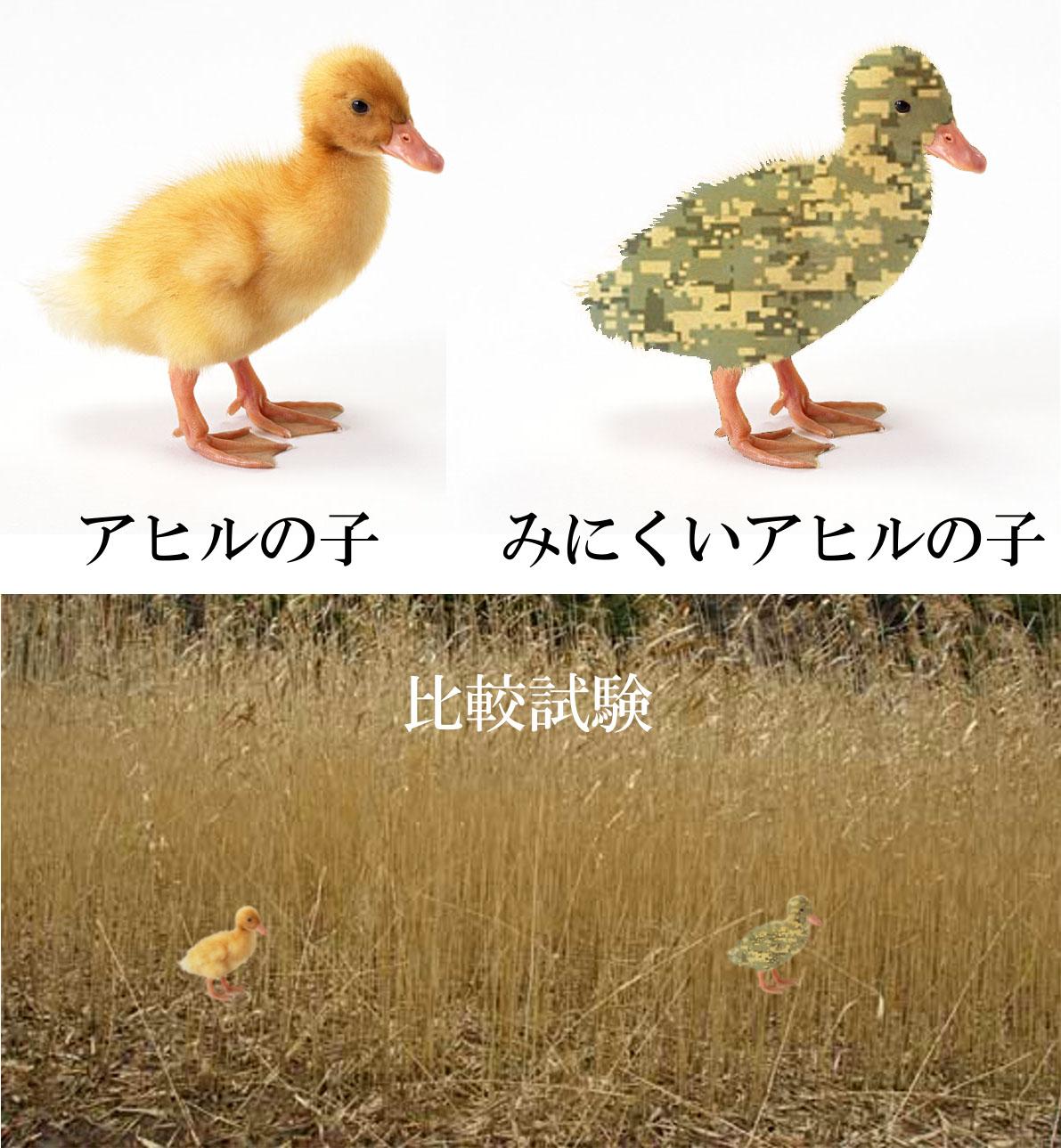 勘違いってあるよねｗみにくいアヒルの子が本当に見にくすぎて草 話題の画像プラス