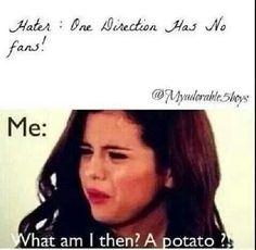 nina_kovac2's tweet photo. WHAT AM I THEN? A POTATO?! HAHA
#Directioners 
#MTVHottest One Direction http://t.co/KnNVAn6sAT