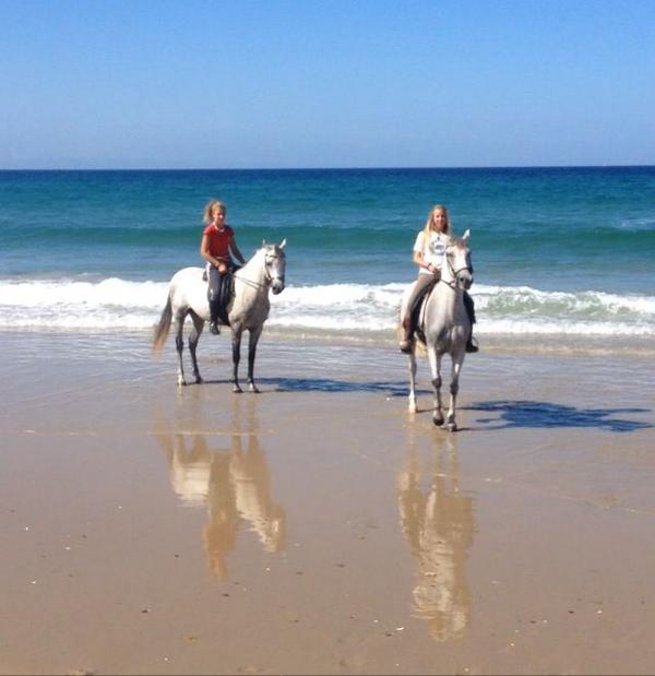 ElJibbah's tweet photo. Aprovecha las epocas con menos turistas para dar paseos a caballo por la orilla http://t.co/8F8VYhKMsM