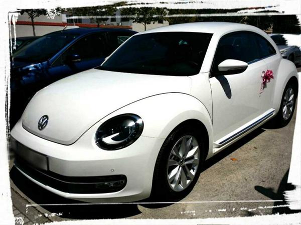 CrsCryscash's tweet photo. @VWsightings  no quedan nada mal http://t.co/IZzEMcA75l