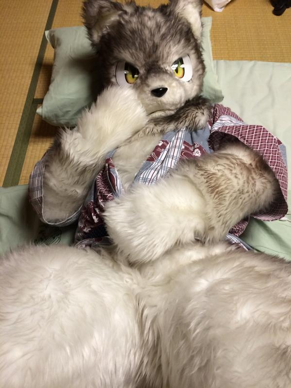 _kihiro_'s tweet photo. 浴衣、ジッポ、旅館にて。 #FursuitFriday http://t.co/ZkfTMRgisL