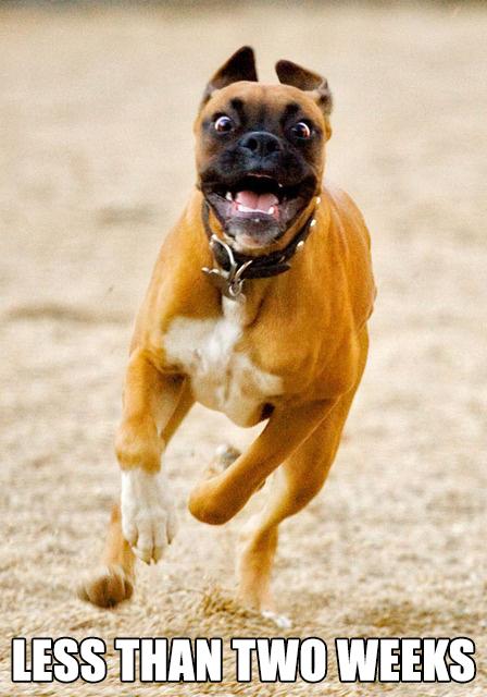 BoltExpressLLC's tweet image. Less than two weeks until the grand opening of our #DriverSupport Center! We can&apos;t hide our excitement!!