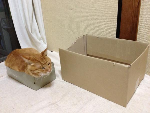 kzy4710's tweet photo. んん〜 http://t.co/neaYxc0G9i