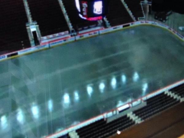 MrsScott_Scoot's tweet image. Great way to start the morning! #Coyotes #FreshIce