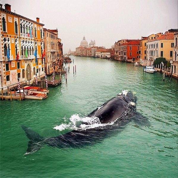 awkwardgoogle tweet picture