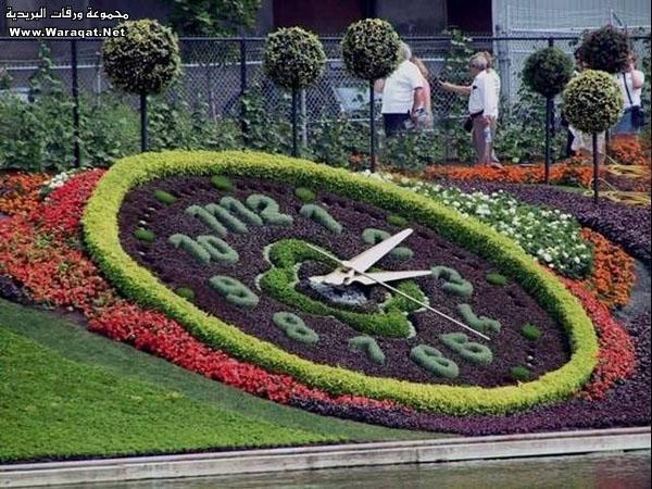 Omega777oleg's tweet image. #СадовыйДизайн!))) Часы...