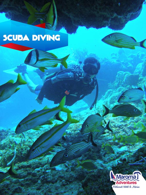 Conoce un mundo mágico abajo del agua en Maroma haciendo #ScubaDiving #TienesQueVivirlo bit.ly/1vSz6M4