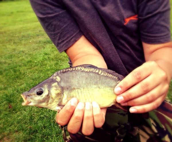 Alexs pond at cobbleacre