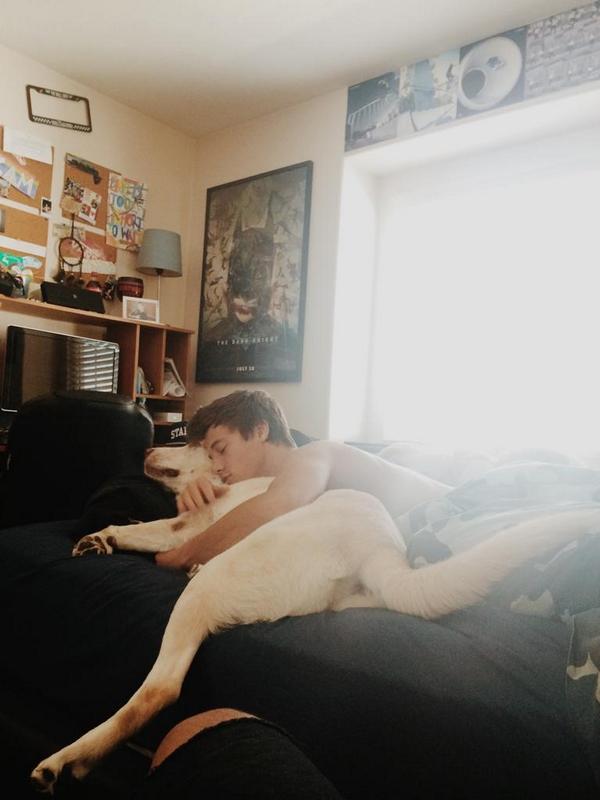 JustHxgo_'s tweet photo. @cameronquater + son chien = L'AMOUR FOU http://t.co/HZlXnolr98
