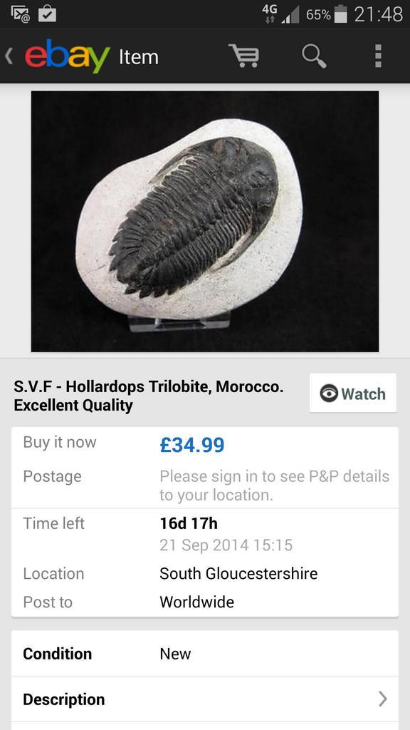 lbvdb's tweet image. Check out the condition on this trilobite.... New. Brilliant #whoops