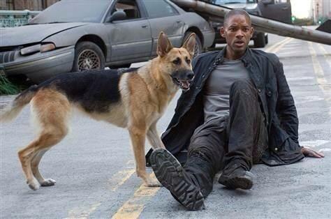 Jordan_Jud's tweet photo. #FictionalDeathsIWillNeverGetOver http://t.co/gahTBGzRW5