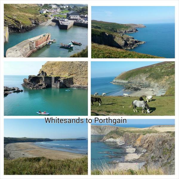 Perfect day for walking #pembrokeshire #coastpath #Whitesands to #Porthgain <a href="/pjenkins851/">Paul Jenkins old a/c</a> <a href="/visitwales/">Visit Wales 🏴󠁧󠁢󠁷󠁬󠁳󠁿</a>