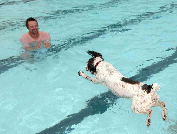 EdmontonHumane's tweet photo. Pooch &amp; People Paddle -- Sat Sept 6 @ Oliver Pool! Here are some shots from last year's event #tbt #yeg #yegpets http://t.co/QbVJ6aH1ID