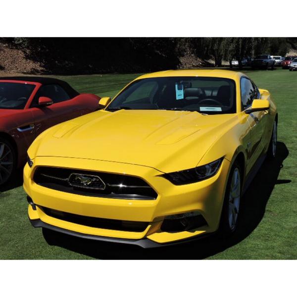 gasmonkeyfanz's tweet photo. The new stang http://t.co/SXVY9T2QFA