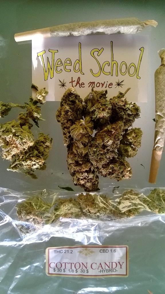 WeedSchool's tweet photo. Game Day #Seattle #Seahawks http://t.co/OMYGtblBx6
