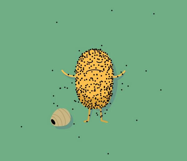 Wasp nest volleyball isn't for me: appstore.com/dumbwaystodie