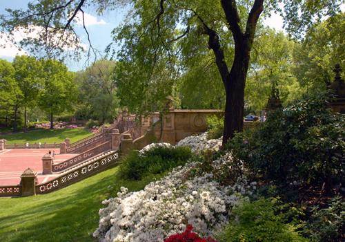 CentralParkNYC's tweet photo. Central Park is a work of art &amp; the focus of special tour tomorrow at 12pm. Info &amp; tix: http://t.co/juX6xQt3Bt http://t.co/WWRvtmjkAs