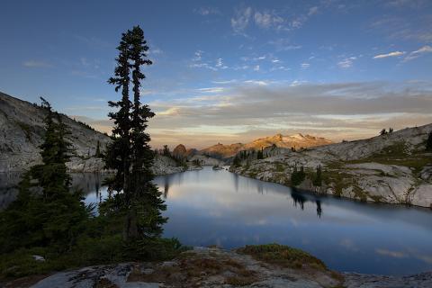 AlpineoftheAmericas tweet media
