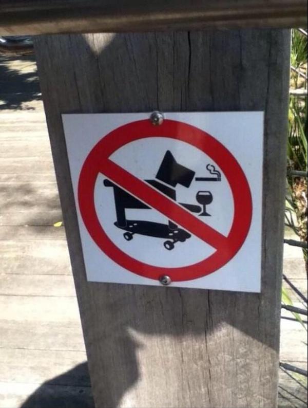 JOE_co_uk's tweet photo. The worlds coolest dog, sadly banned from this park http://t.co/iUexBkt7kF