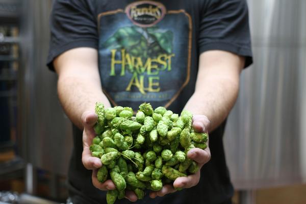 foundersbrewing's tweet photo. Guess what we're brewing this week. http://t.co/OFli5eLczC