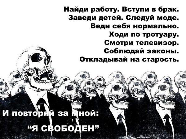 Два Красных Диплома (@dvadiploma) on Twitter photo 