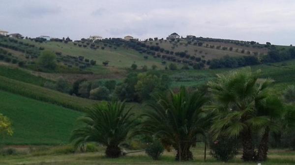 ppfois's tweet photo. Le splendide colline intorno a #Colonnella viste dal mitico ristorante #Zenobi http://t.co/csKZ614Prz