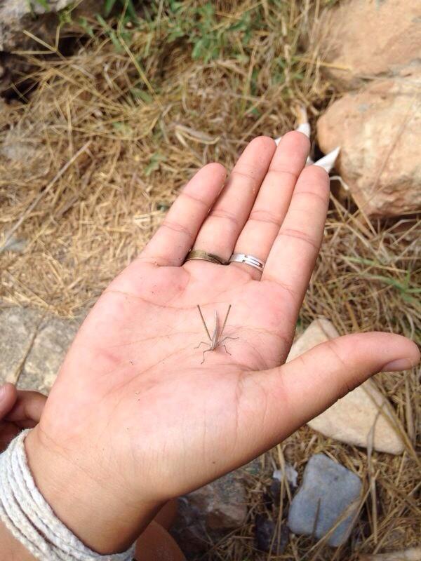 Asya657's tweet photo. Wow look what i just found http://t.co/4X1RhOJkjQ