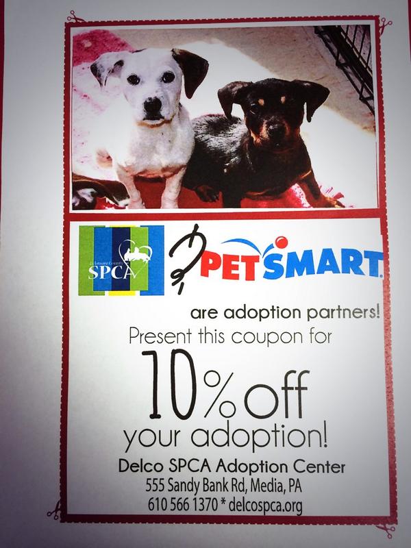 petsmart 610