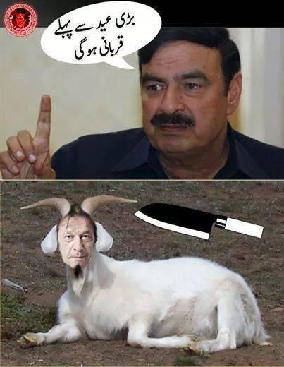 iamalimustafa's tweet photo. khan sab tyar rhen :p http://t.co/SsJbkS5ZHv