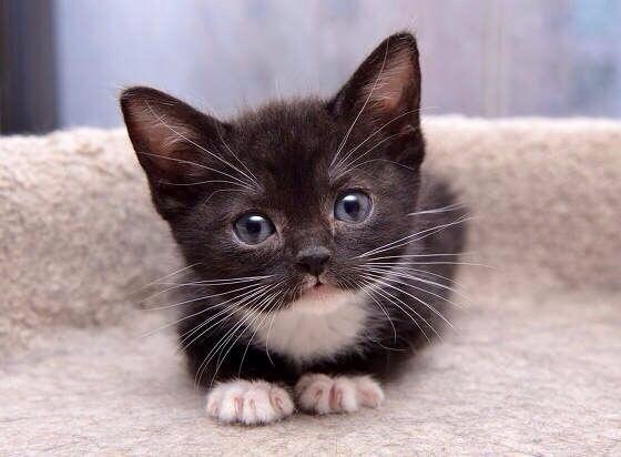 Elverojaguar's tweet photo. https://t.co/Xb0WqF4hQZ