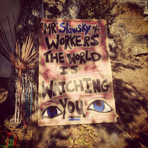 _talkingtrees's tweet image. #nohousehere #graceislet #saltspring