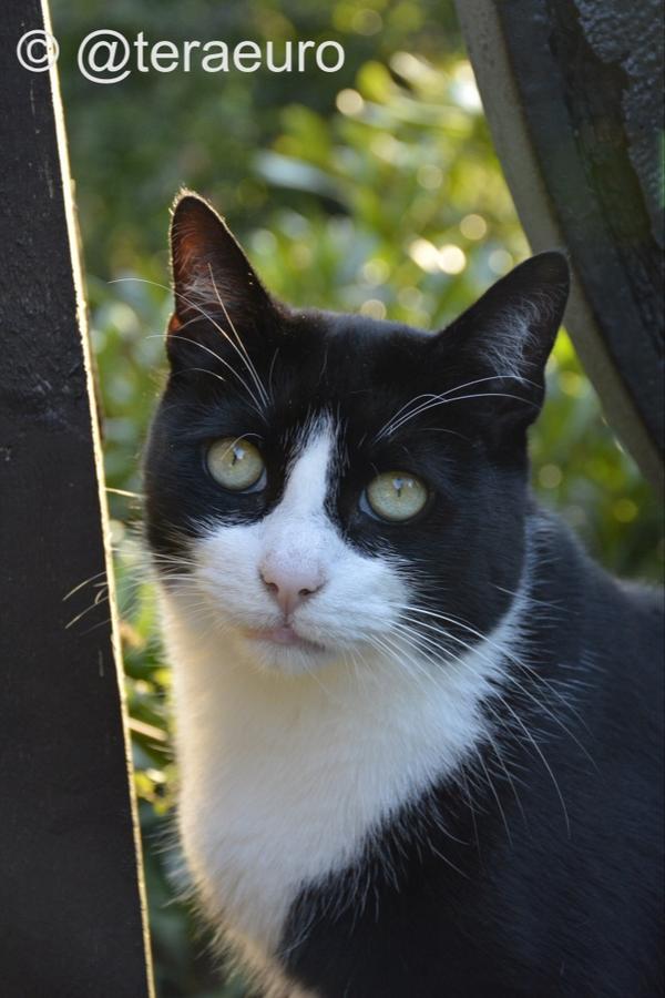 hugo4de's tweet image. +100 #win RT @mtwirth: &amp;lt;4 ? #Twittermath RT @hellosilka: +1 &amp;lt;3 “@dieGoerelebt: @hellosilka &amp;lt;3”
 cc @msgbi