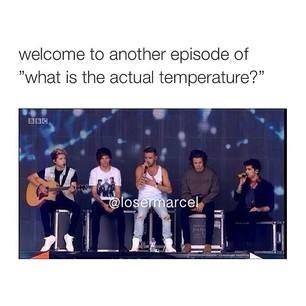 MendesMirrors's tweet image. #DirectionerProblems