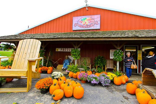 VisitMO's tweet photo. Time for a road trip! Here's the ultimate list of Missouri fall festivals. Enjoy! http://t.co/nBaocheh9s http://t.co/S8Brr4quJc
