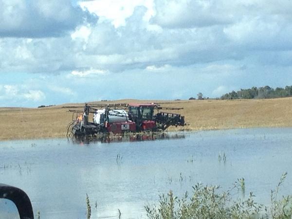 <a href="/GrainFarmProbs/">Grain Farm Probs</a> <a href="/westernproducer/">The Western Producer</a> if u sink the sprayer don't wait to pull it out - might rain 9" in a week#neighbors