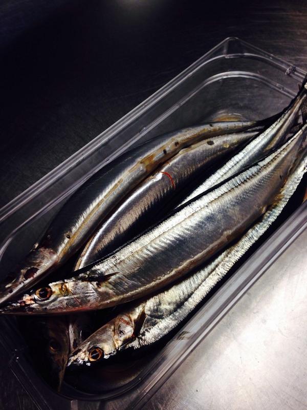 "Sanma in season!!" - T