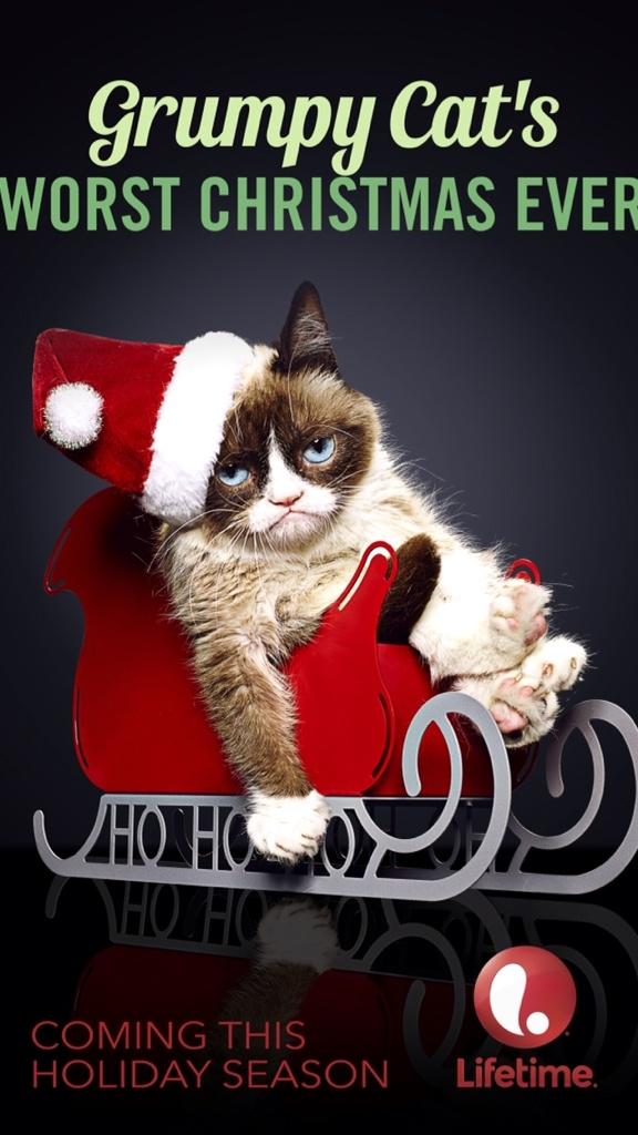 RealGrumpyCat's tweet photo. #WorstChristmasEver http://t.co/RbANY5Cefp