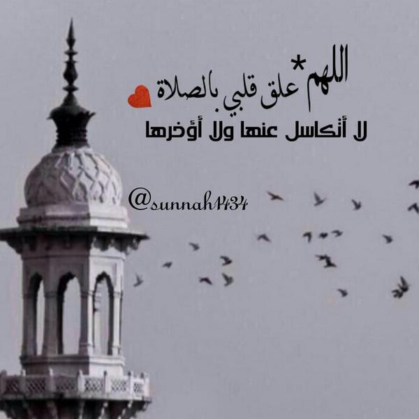 Daa1243 tweet picture
