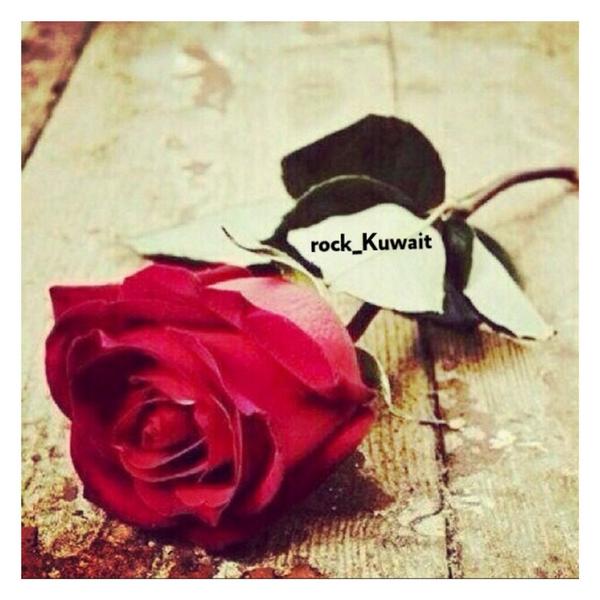 Rock_ALKuwait's tweet photo. أختصرني بين فكين السكـاات 
واعتبرني سـر ،، ما يحكى أبـد 
خلني ما بين ضلعينك  أبـات 
وأحتفظ بي ،، لا تبادلني بأحد http://t.co/73AtWuMp32