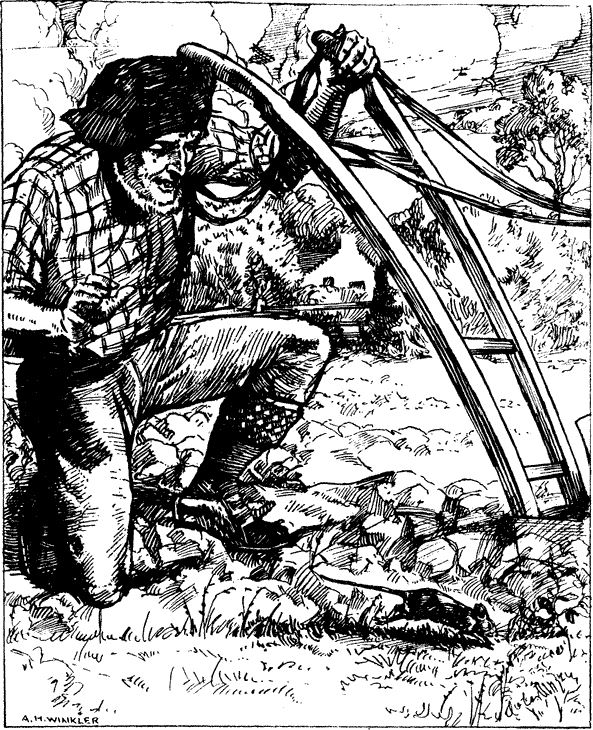 matthaag56's tweet photo. This image gives a great visual representation of “To a Mouse” by Robert Burns 
#ommrecine http://t.co/a6XIdwHet9