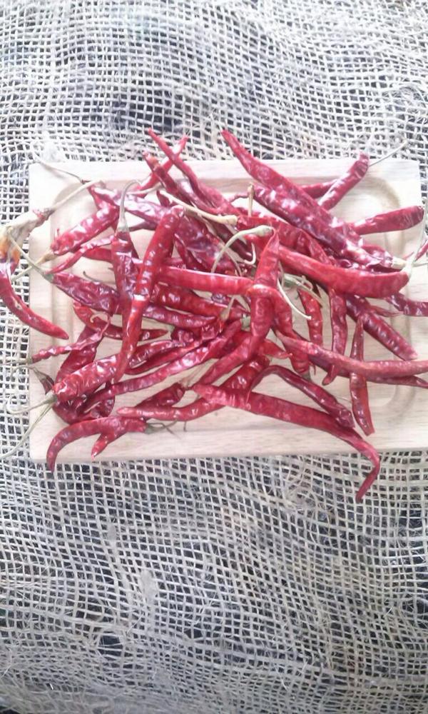 commoditiesexch's tweet image. Ask for our Dry Peppers !!!!!!